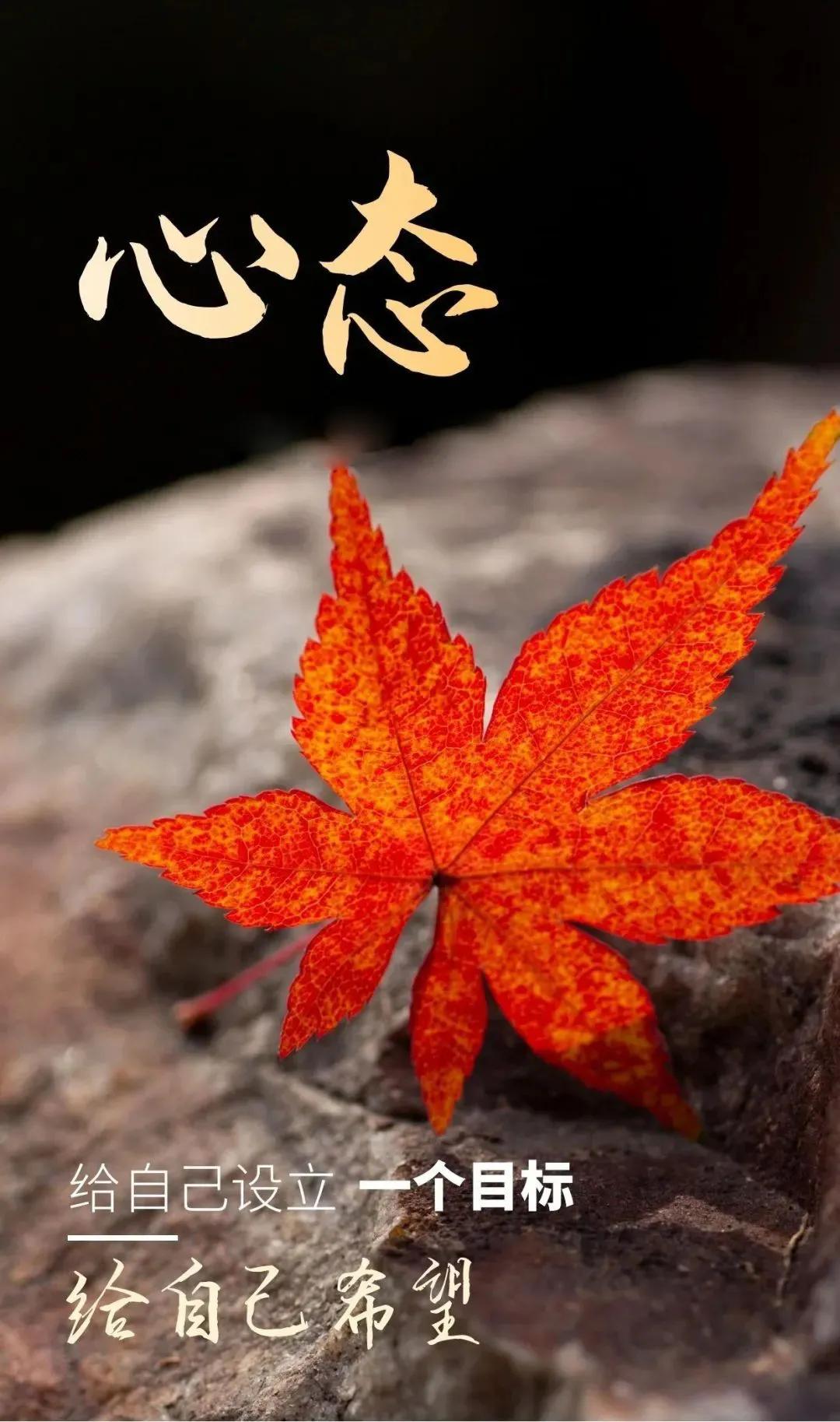 早安心语暖心句子正能量励志,早安心语正能量一句话简短图片