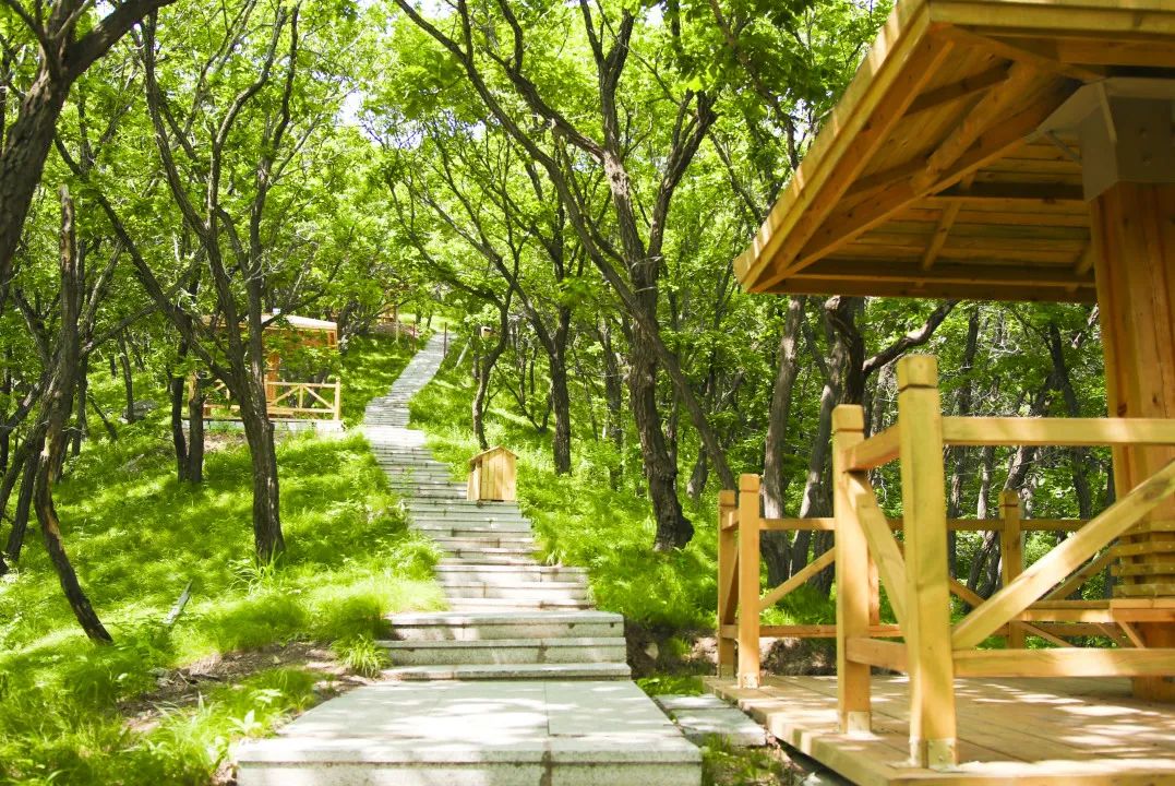 夏幽·嗨玩|全部免费！莲花山徒步宝藏地推荐！