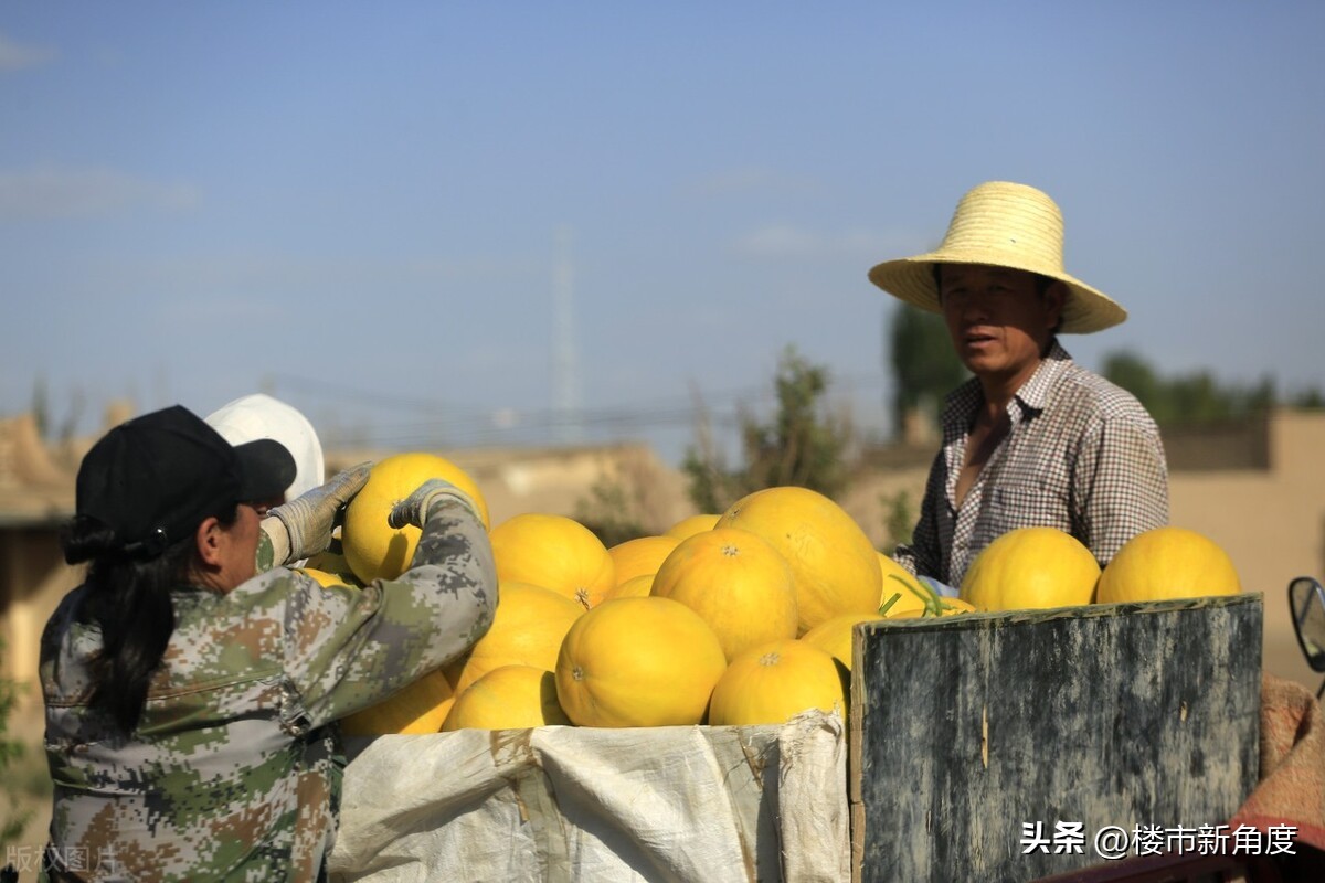 物流和快递到底有什么区别,物流与快递的区别你知道多少