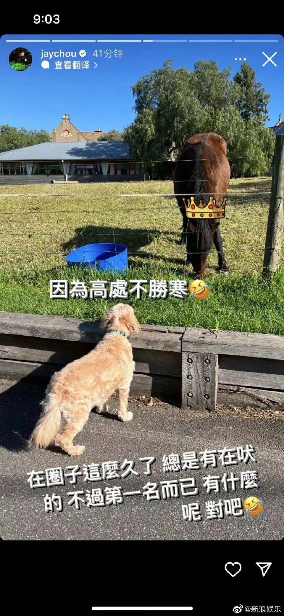 2天6个瓜：离婚、被骗1亿、女歌手演出脱上衣、男星骚扰多名女孩