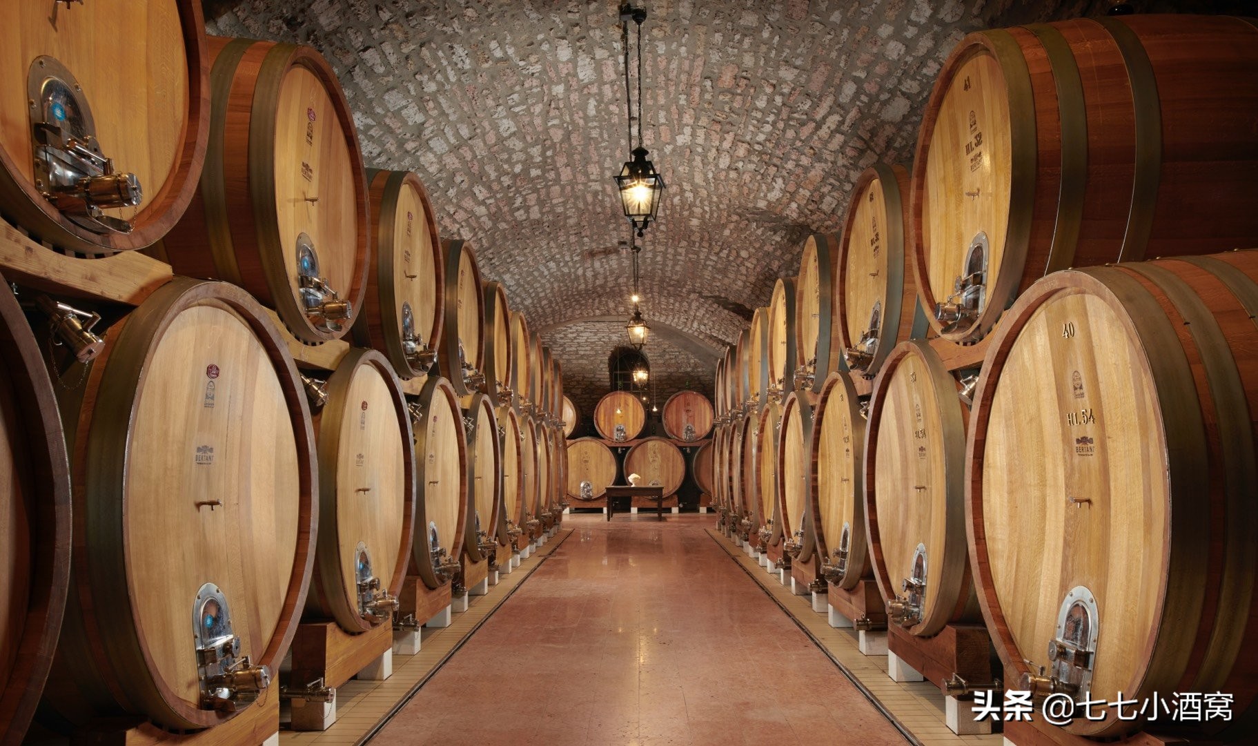 阿玛罗尼红酒值得拥有吗,意大利最具代表性的红酒