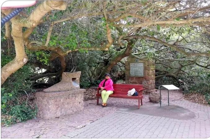 南非花园大道地图,南非花园大道旅游