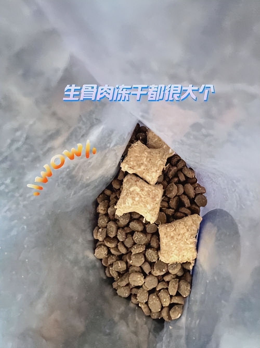 猫大便粘在毛上怎么解决,猫拉屎粘在地上怎么清理