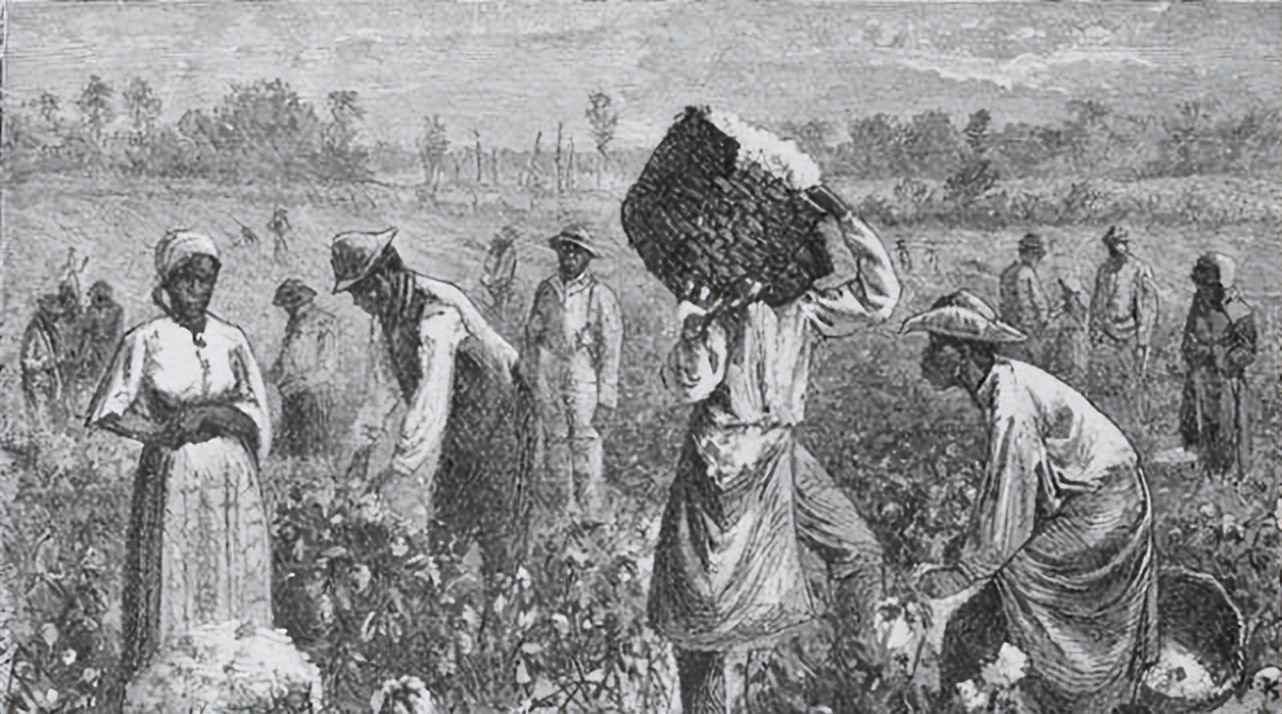 非洲女孩巴特曼因有巨臀，一生被赤身裸体展览，死后还被做成标本