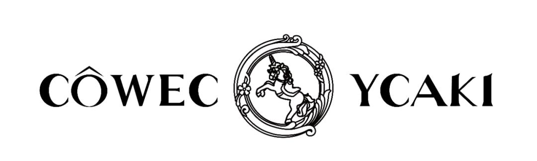 cowecycaki女包档次高吗,cowecycaki女包怎么样