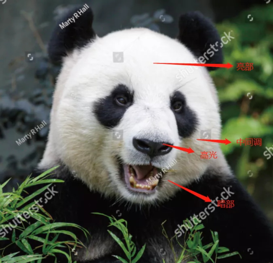 ai生成战队logo,ai生成队徽