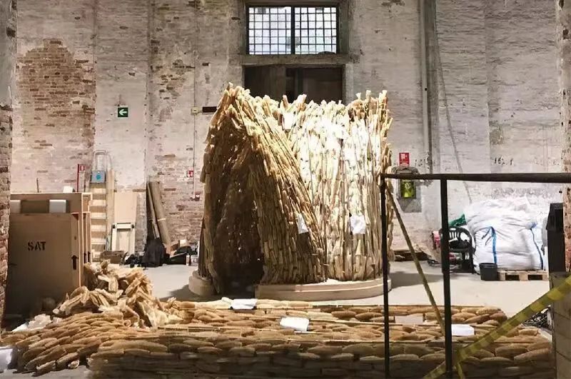 未之头条：重新认识霉菌，它除了变牛排还能盖房子