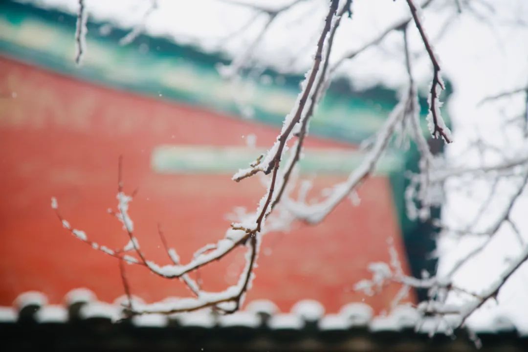 雪的唯美诗句冬雪,描写冬雪的优美诗句大全