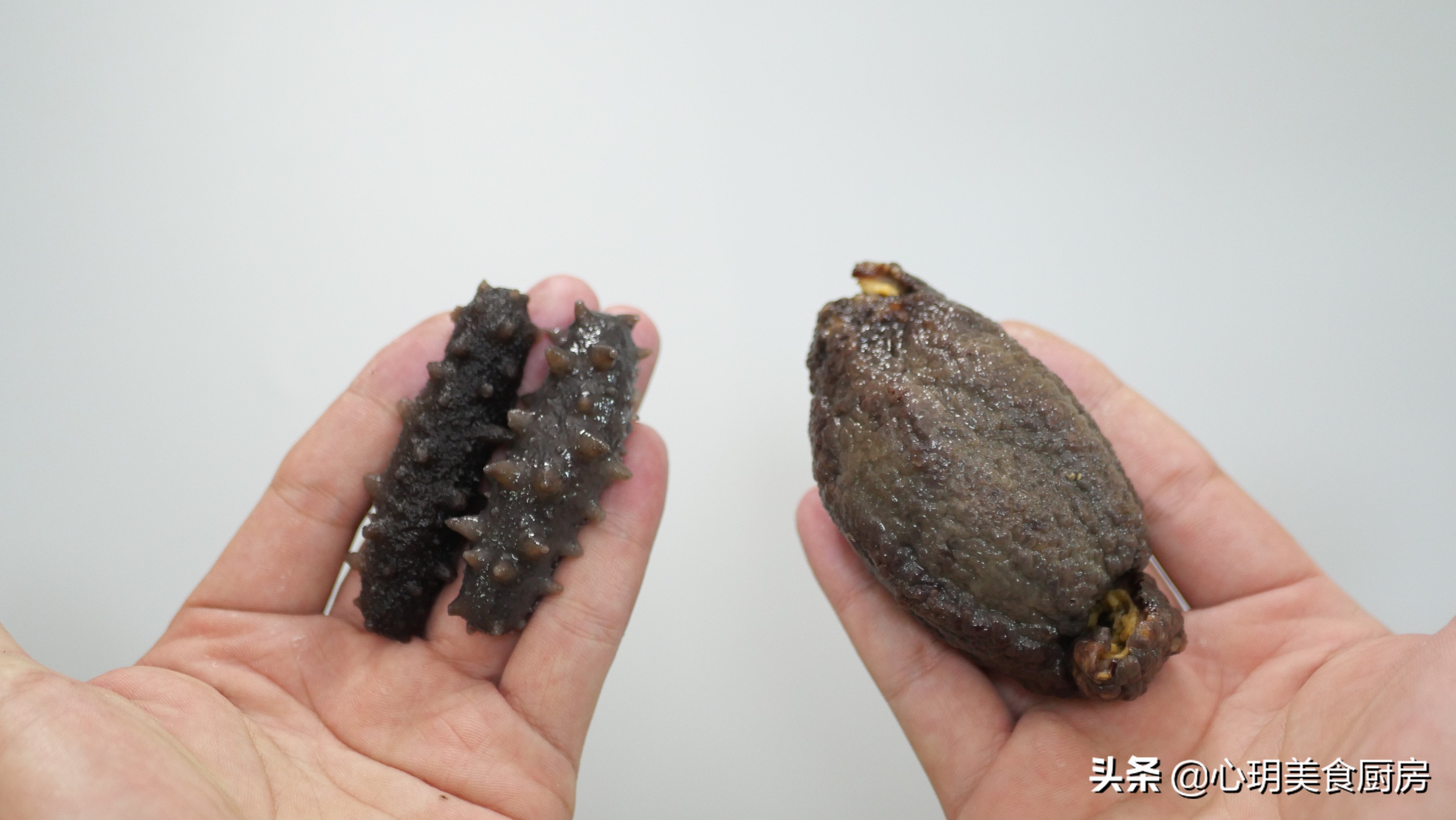 海参用清水泡已经很大了,怎么泡发海参又大又好