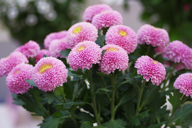 涓勾浠ュ悗濠氬Щ,涓勾濠氬Щ瀹炴儏