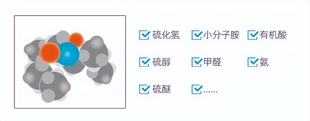 杀菌除臭剂汽车空气清新剂,德国进口杀菌除味剂