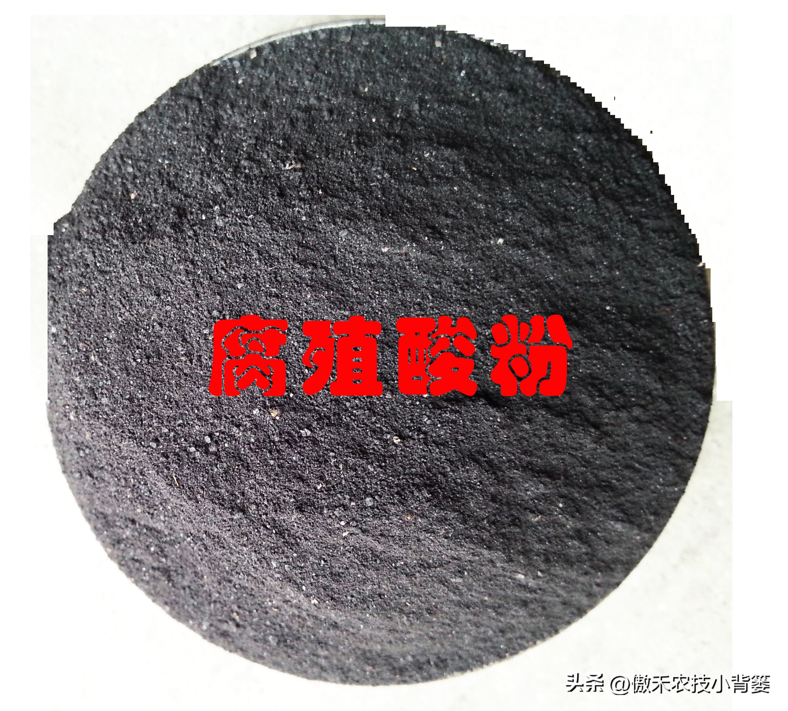 黄腐酸海藻酸氨基酸哪个效果好,氨基酸肥料和腐殖酸肥料的区别