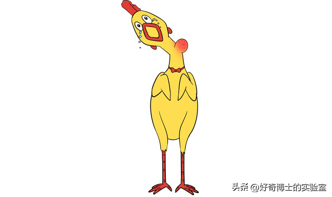 男女生性别特征的表现,男女生的状况