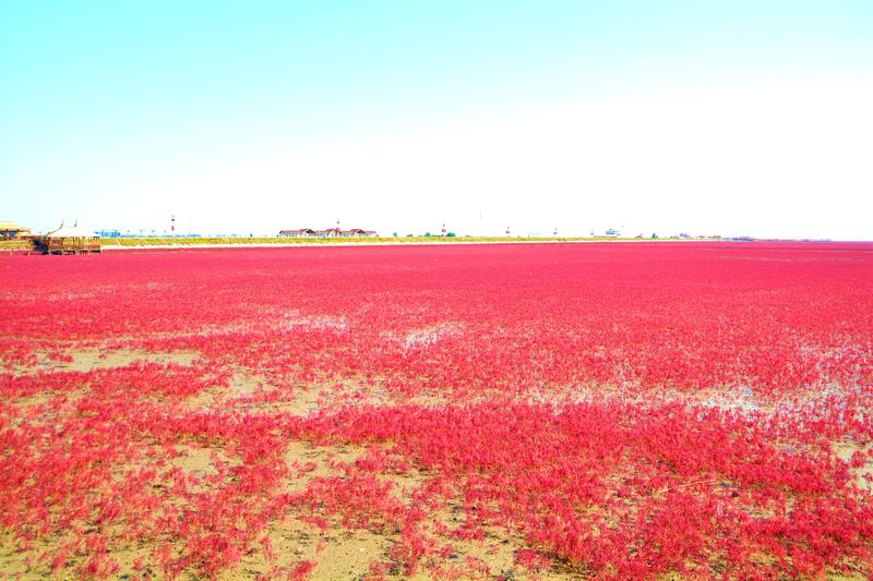 辽宁盘锦在哪个地方,去盘锦旅游哪里好