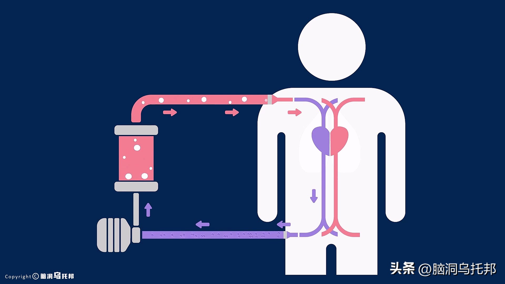 无症状感染是因为体质差吗,为什么有的人感染症状轻