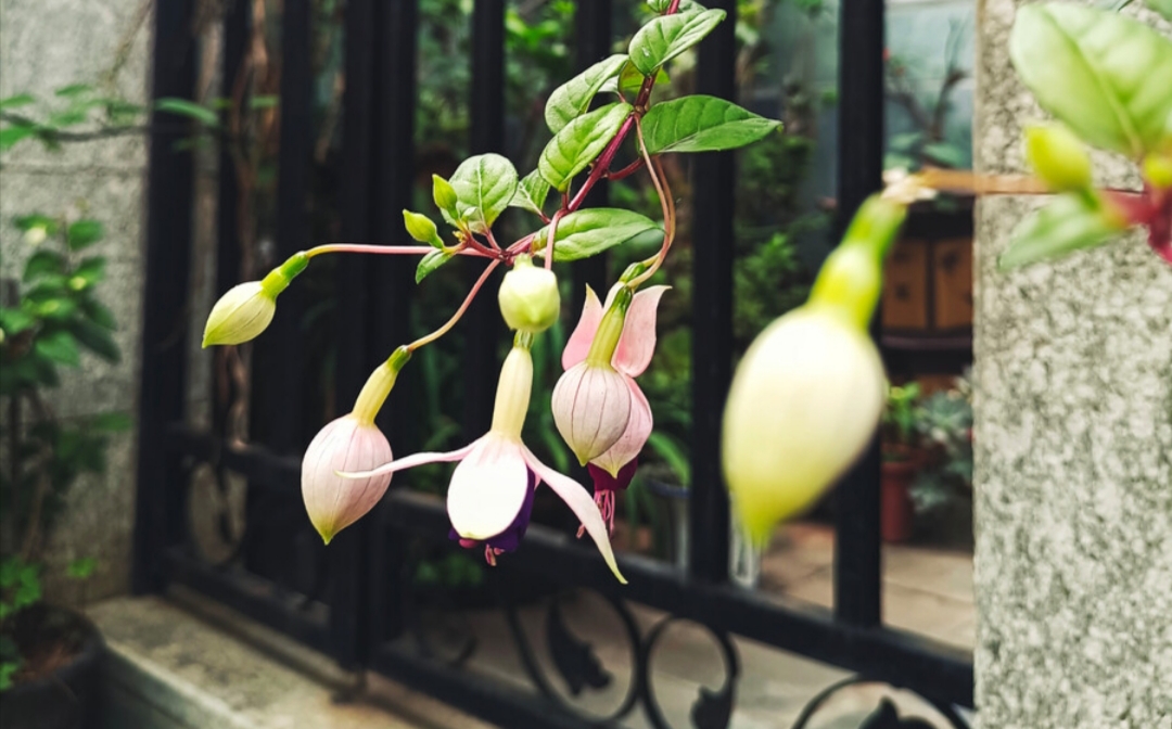 六月再见七月你好忘掉该忘掉的人,六月再见七月你好不为往事忧