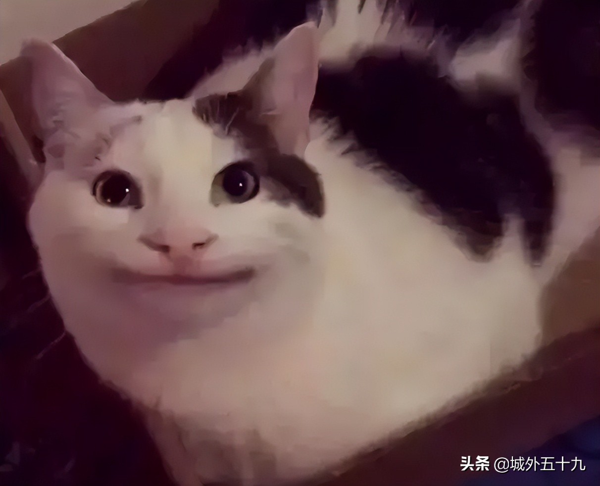 信用卡逾期9个月怎么办,信用卡逾期9个月如何处理