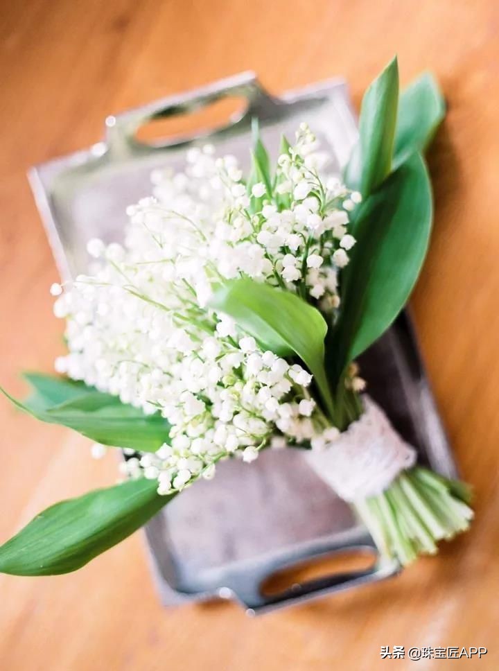 最火的网红元素，铃兰花开，幸福自来！35款珠宝打造你的铃兰花园