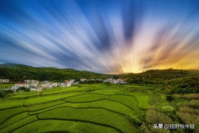 一个县委书记的临别感言,一个县委书记的日常生活