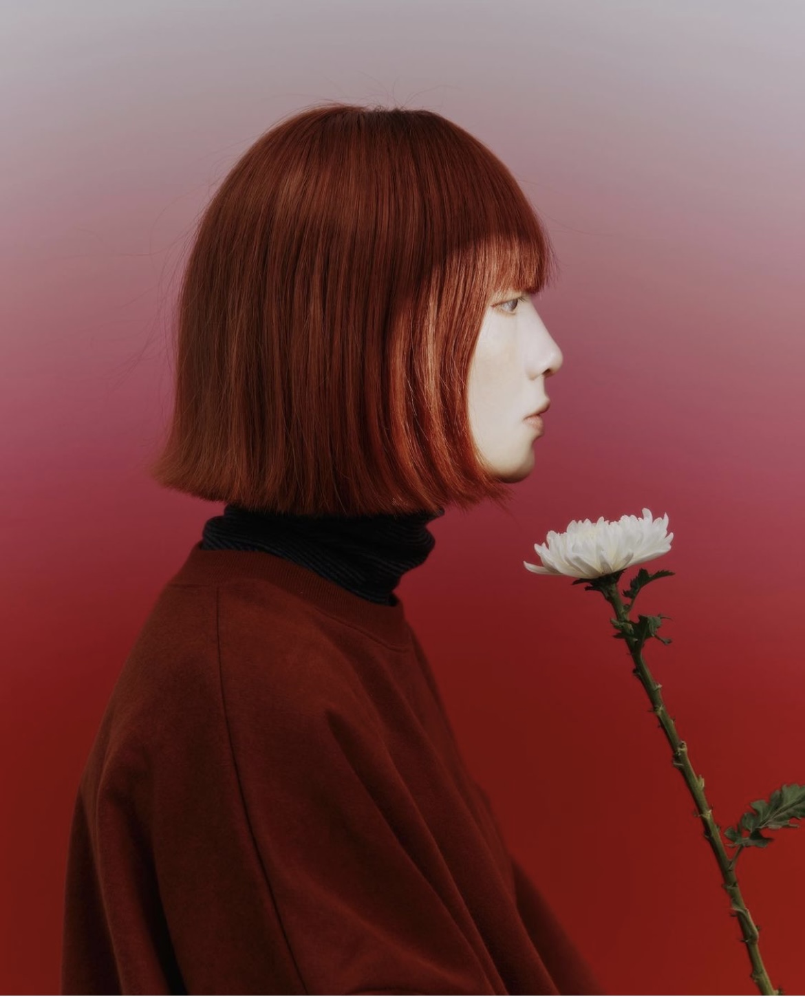 深圳陈阅摄影培训机构多少钱,深圳罗湖摄影培训班