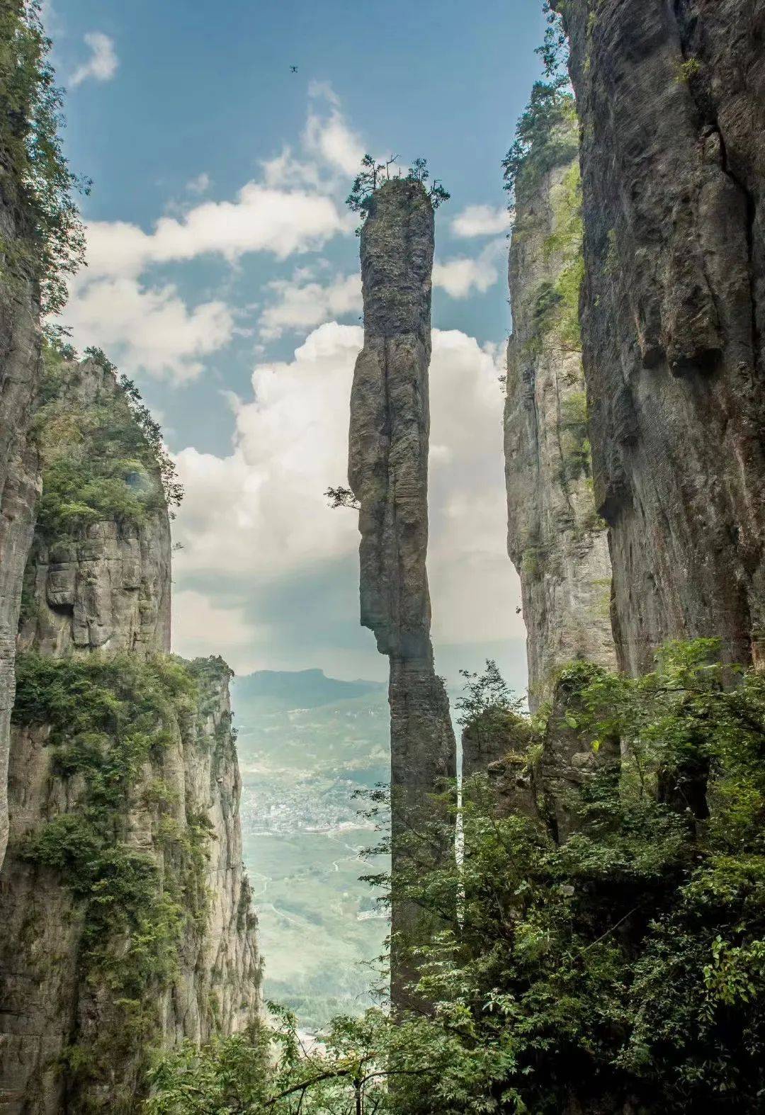 恩施土特产九哥店地址,恩施土特产连锁店