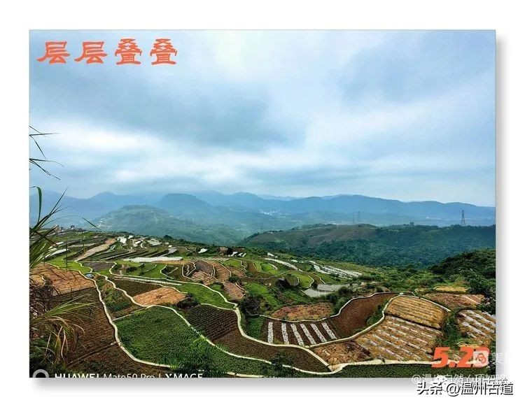 告别春天迎接夏天的诗,告别春天迎接夏天到来