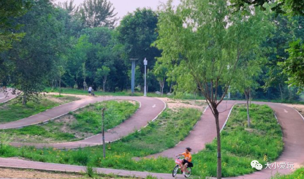 最适合骑行的公园,适合骑行的旅游地点推荐