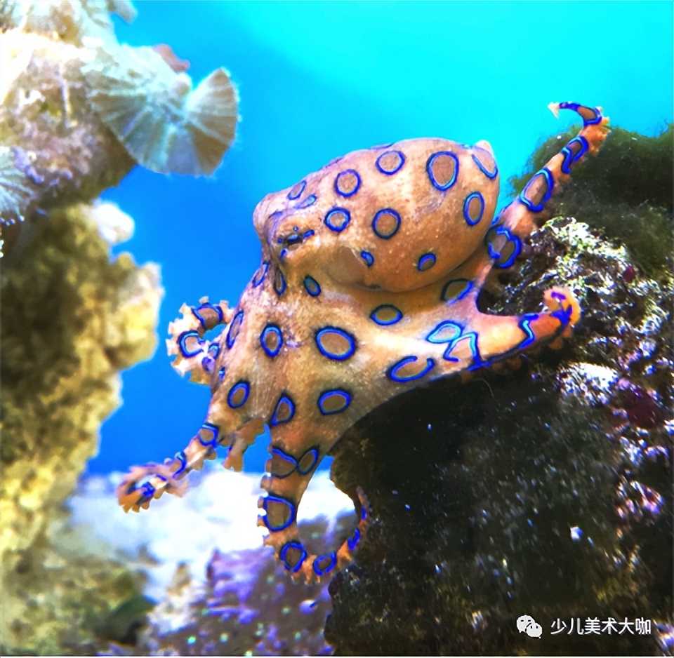 创意美术简单易学,创意美术幼儿