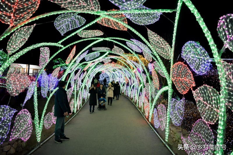 韩国晨静花园,韩国晨静树木园设计方案