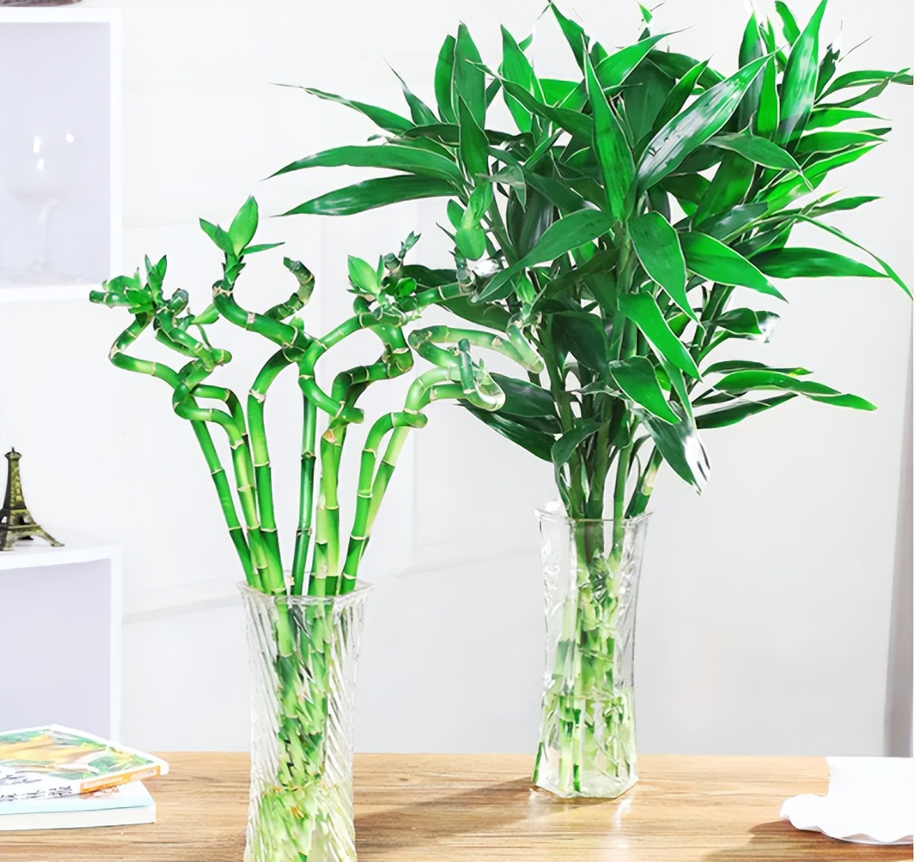 怎样让富贵竹长得又粗又壮,怎么能让富贵竹只长粗不长高