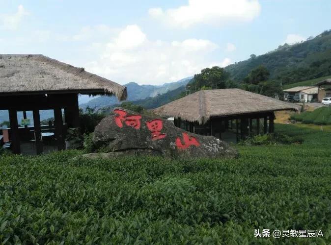 台湾阿里山风景视频,台湾阿里山歌曲