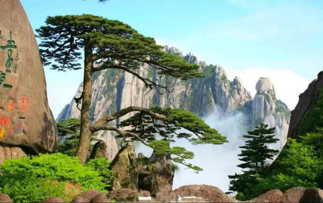 给想去黄山旅游者的一点参考,去黄山给点建议