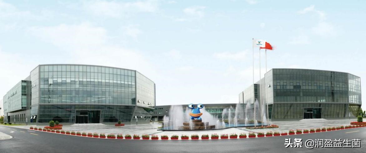 润盈生物工程上海有限公司,润盈生物最新消息