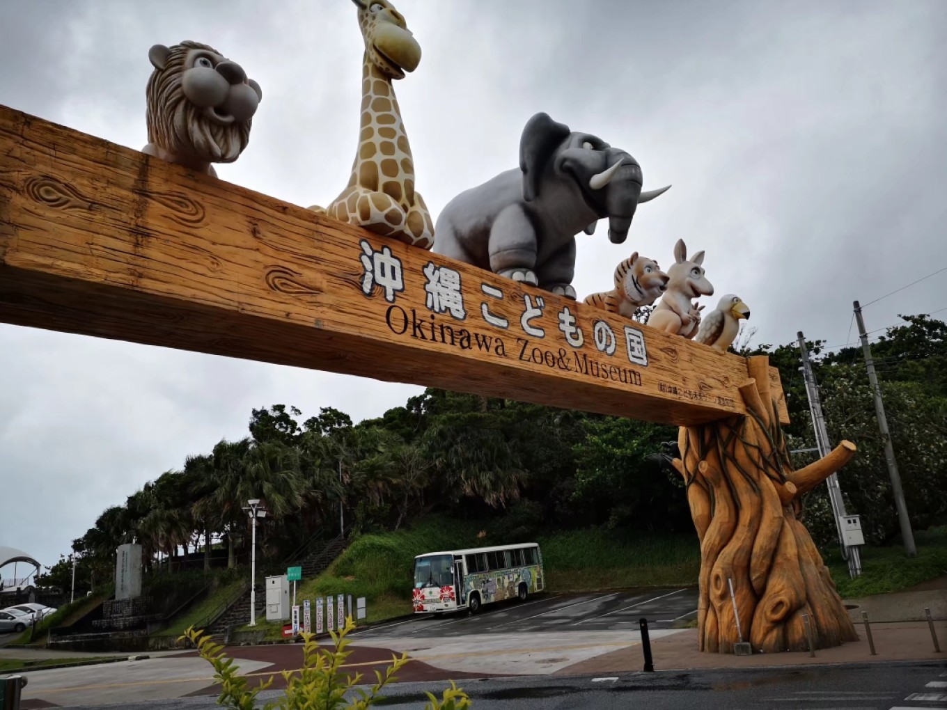 暑期档2019年,2019年暑期档