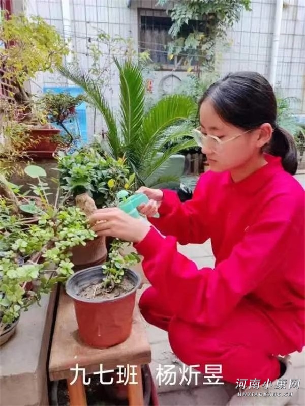 疫情难阻耕耘路不负韶华显担当——金明中小学线上教学侧记