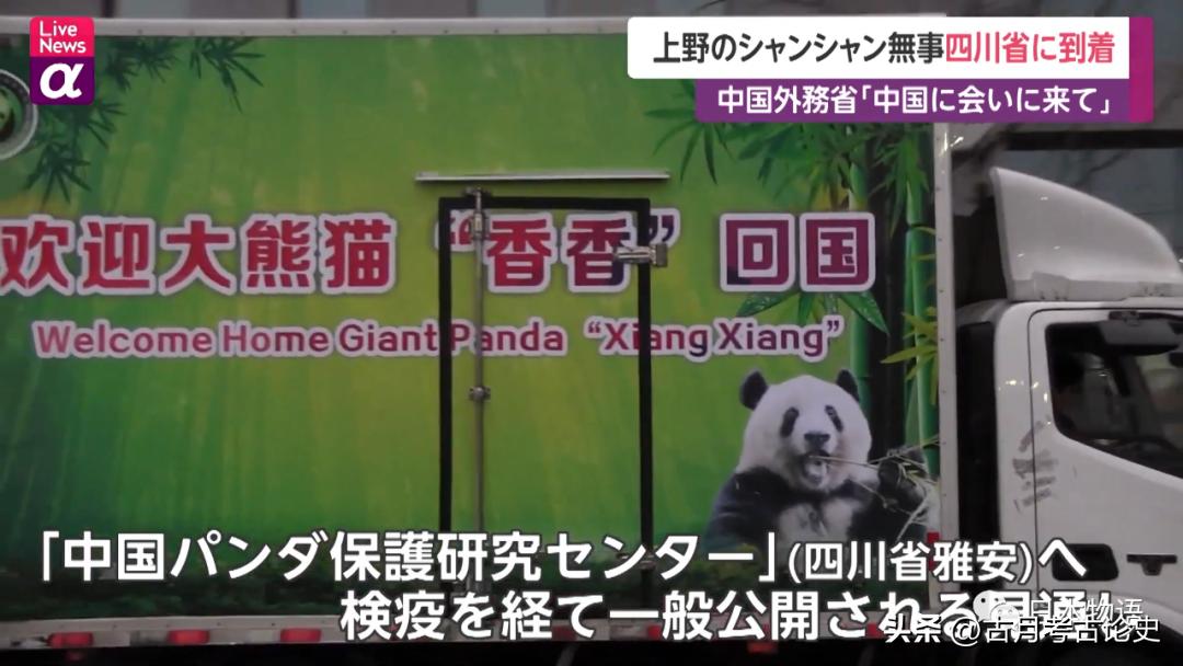 旅日大熊猫回国日本人反应,四只旅日大熊猫陆续归国