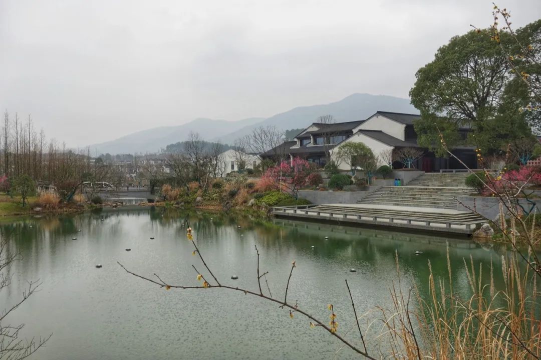 我去竹林避暑了，夏天过完再通知我！