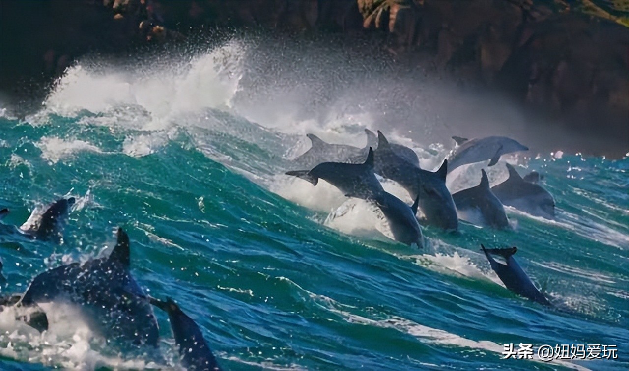 带你真切看人间的宝藏纪录片top10,十一长假适合带孩子看的纪录片