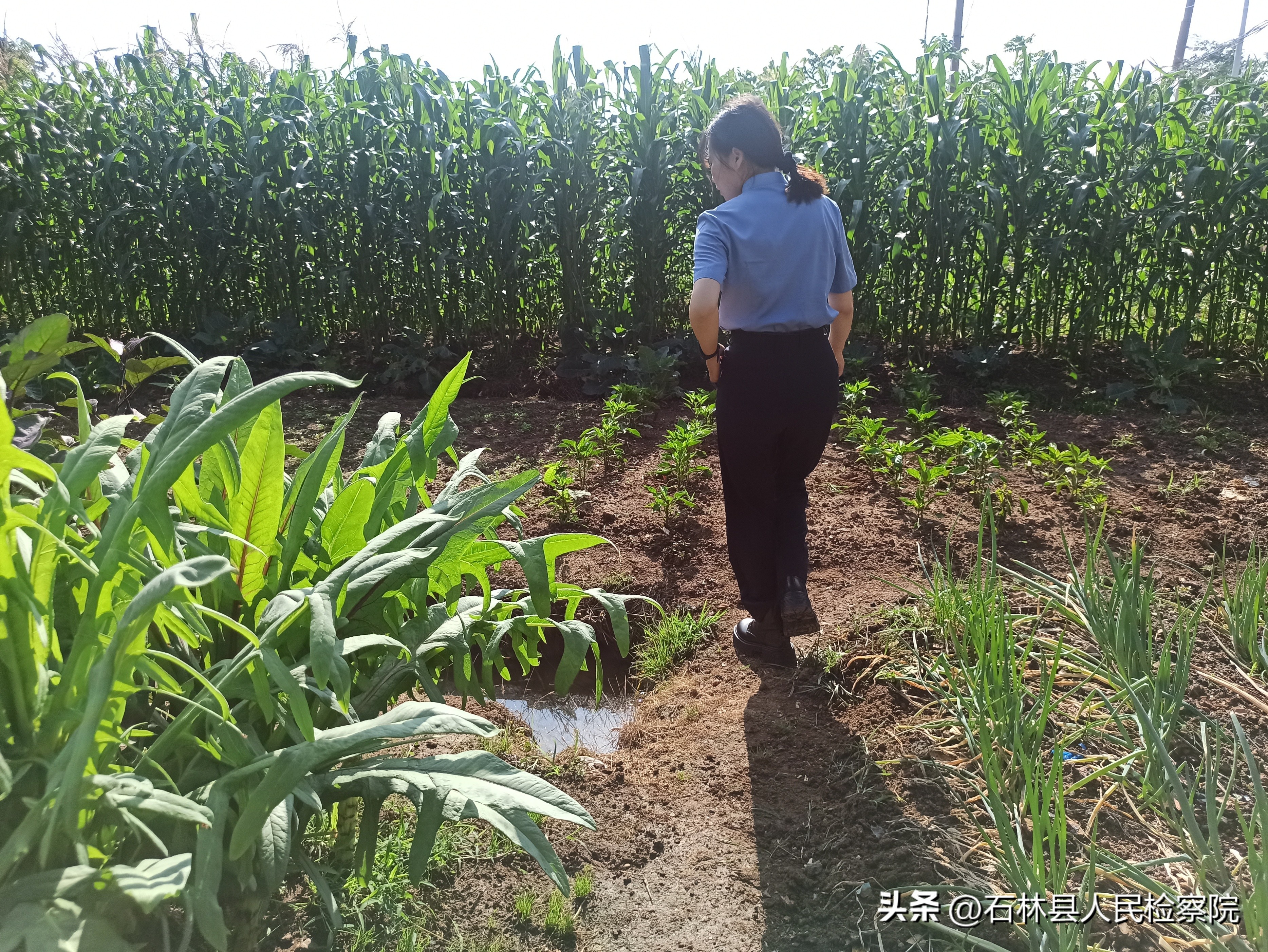 开展6.26国际禁毒日宣传教育活动,6.26世界禁毒日开展禁毒花样宣传