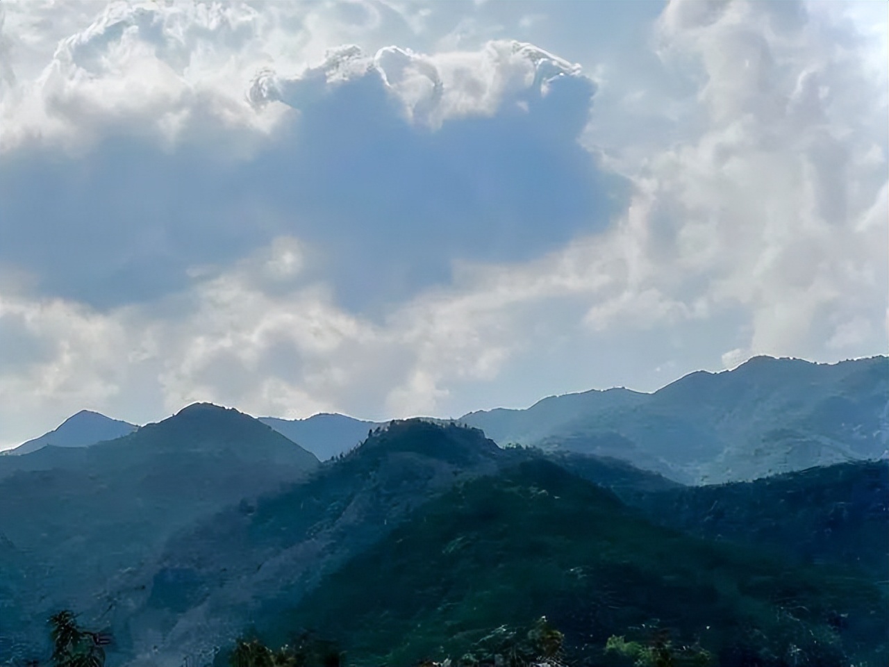 如何泡杨梅酒正确做法视频,泡杨梅酒的正确方法视频