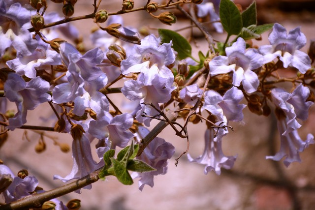 乡土散文消失的村庄,乡土散文朗诵