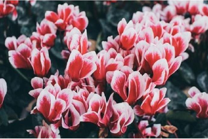 为什么女人就一定要嫁人呢,女人一定要嫁豪门的吗