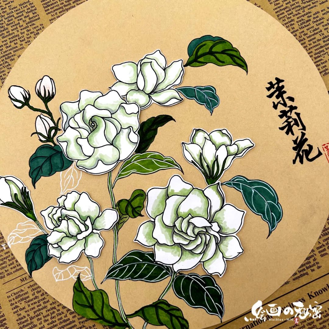 茉莉花开,茉莉花盆栽