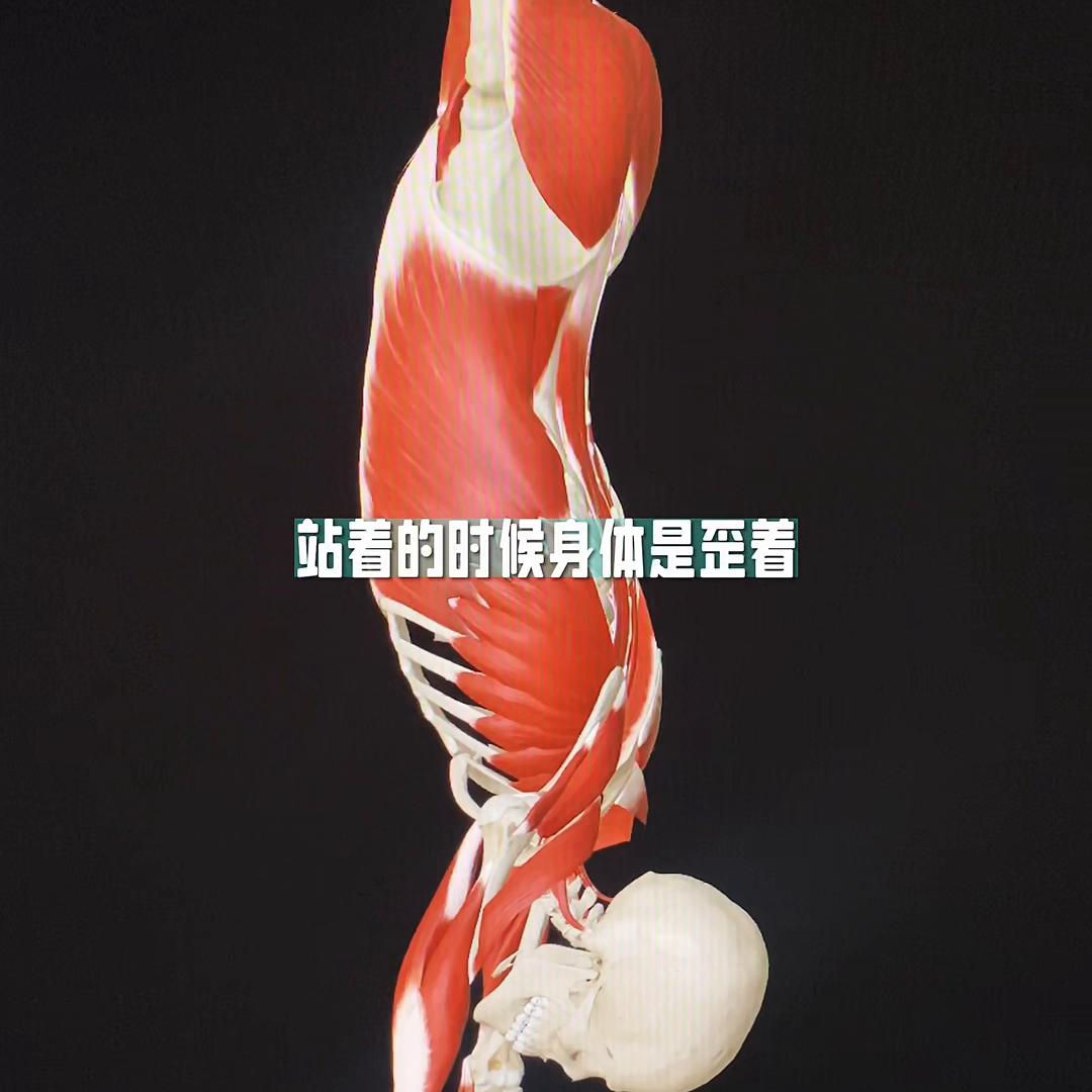 体态歪斜矫正,体态歪斜面部变形