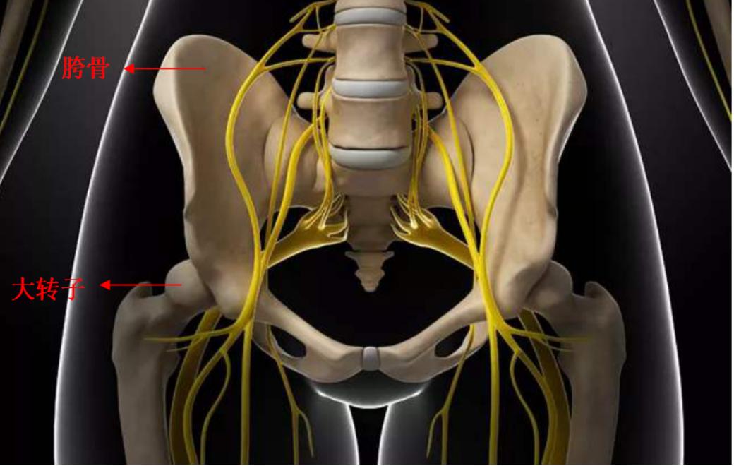 裆部真的很脆弱，撞到会很疼，男女谁更疼？