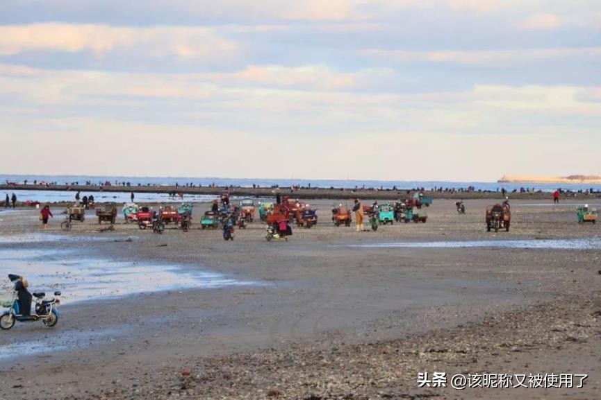 【天福山起义】山东之地理：11.“鲁”字里的鱼是河鱼还是湖鱼？