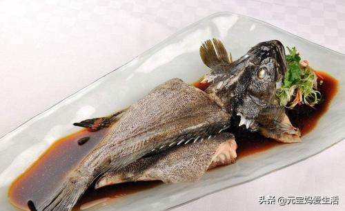 清道夫来源于哪个国家,清道夫鱼在印度是怎么栽跟头