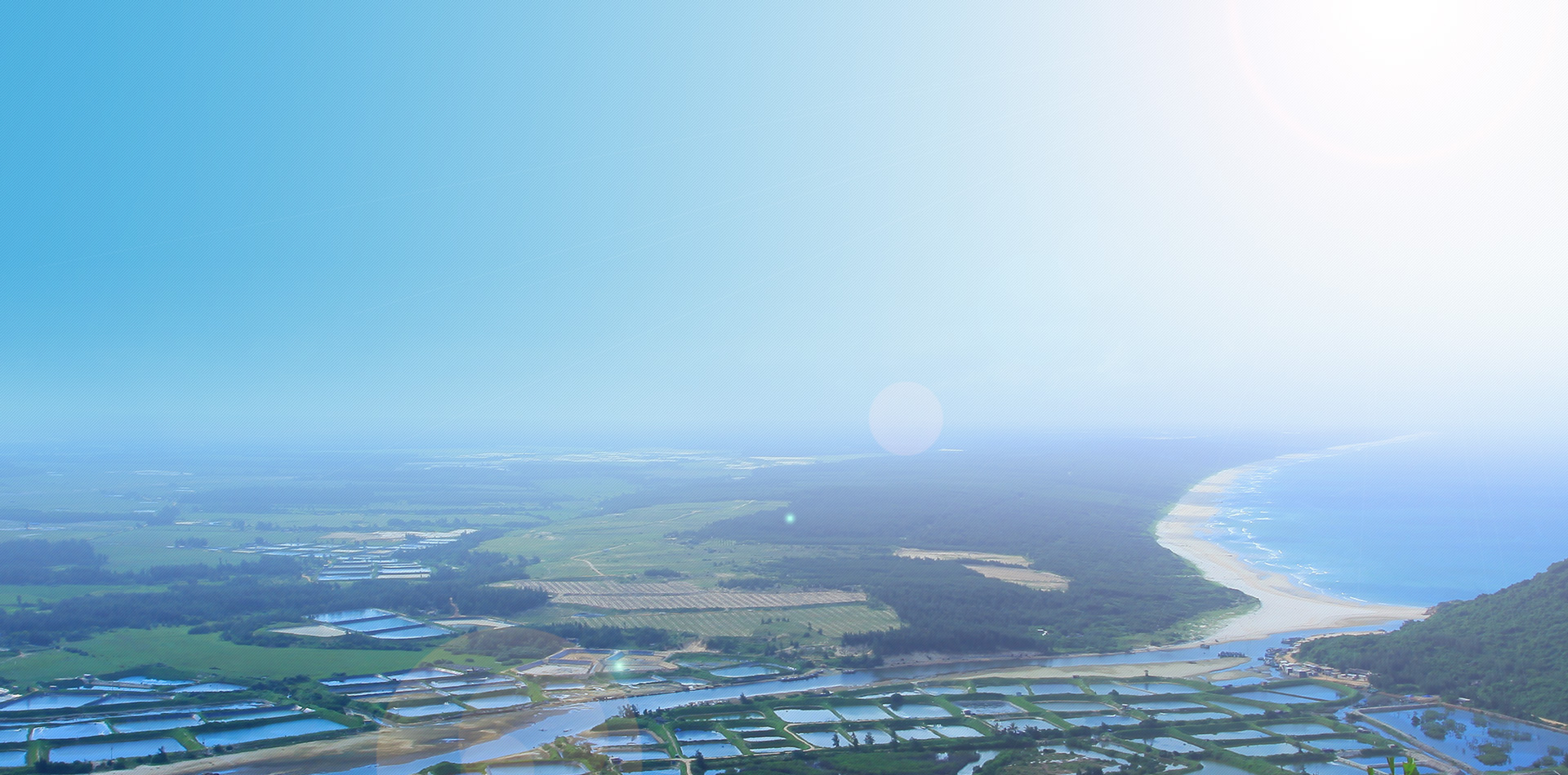 广东恒兴饲料实业股份有限公司,广东恒兴饲料实业有限公司湛江