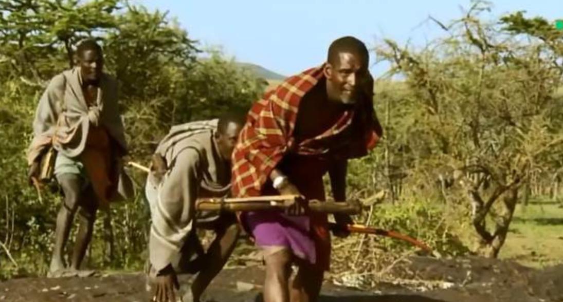 草原之王狮子怕马赛人,马赛人的狮子有多强