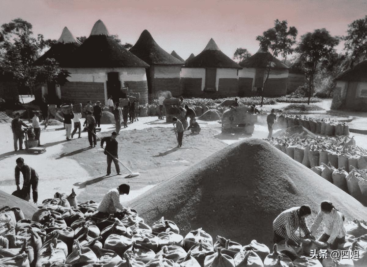 日军日记:男人饿倒在地,为了救他,我将他妻子的乳房割给他吃!